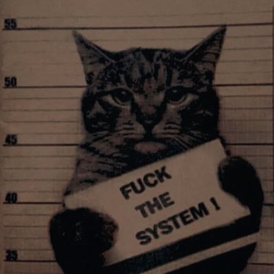 abdimugo's profile picture. in my gaining era