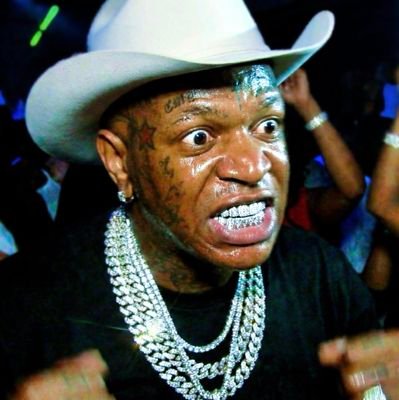 elbirdleaf's profile picture. I'm just here to yap about music • I be trollin sometimes • Don't take this shit too serious.