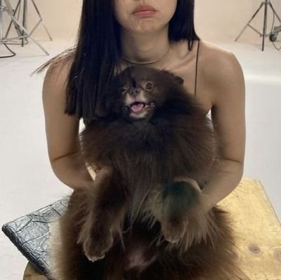 userkdd06's profile picture. 