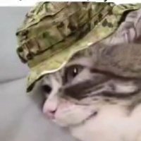 Росс Макелвенни (@rossmcelvenny) 's Twitter Profile Photo