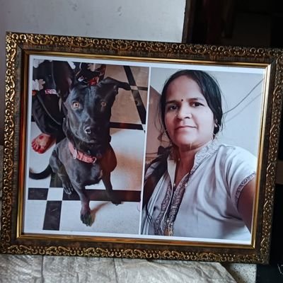 real_pihu_ki_'s profile picture. No dm......?