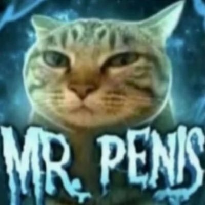 rxkaioh's profile picture. Historiador - UFMG.