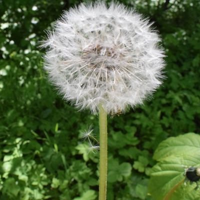 lan_to43739's profile picture. Wer schreibt mir seine erotischen Fantasien ?