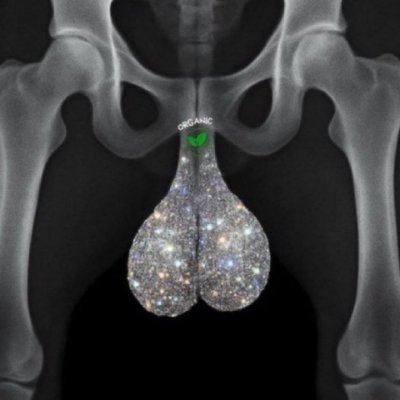 orbitalbio34610's profile picture. 