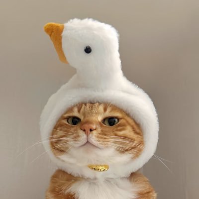 NoiNaRTN's profile picture. Fan account support 🐰#PentorJrp 💫#POLARIX ❄️#IcePariss 🖤💙#LAZ1 ✨|| หวีดทุกอย่างในแอคเดียวค่ะ ||