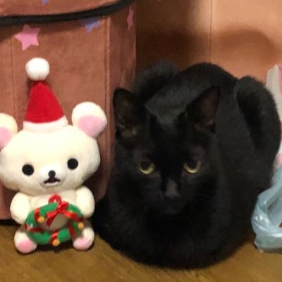 あや|元ヤン教師 Profile