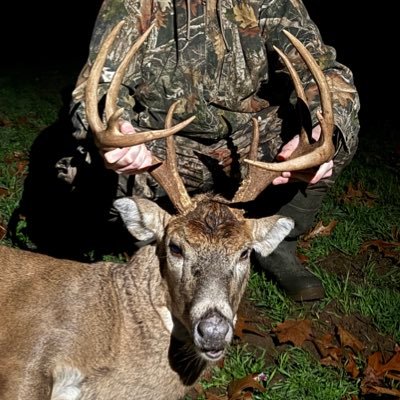 SirJamesCap's profile picture. 