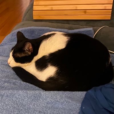 lizard817's profile picture. Living with #MBC since 2019. No DMs. President’s Volunteer Service Award recipient. Democrat for life now.. 🐈‍⬛