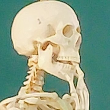 ruhuhuhuu's profile picture. :)🩺