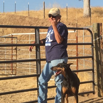 AngieJandro's profile picture. living the dream…..MAGA ALL THE WAY