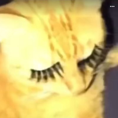 lipstickcats's profile picture. ☆ art dump ⋮ 20 ⋮ multifandom ⋮ vintage enthusiast ☆