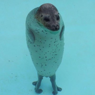 Niruy_Yurin's profile picture. !! Comissões Fechadas (por enquanto) !!