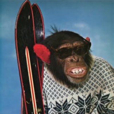 neilmsimon's profile picture. HODL Bitcoin.