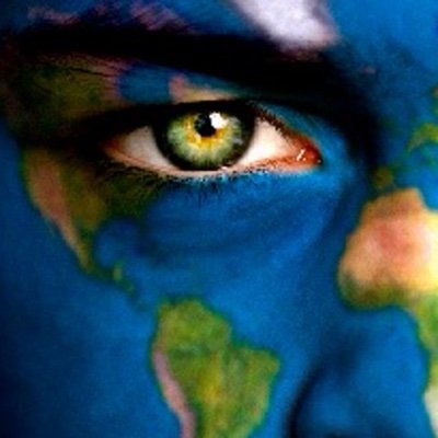 Berta BS Detector Profile