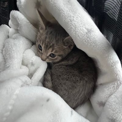 Yannick_fn24's profile picture. 