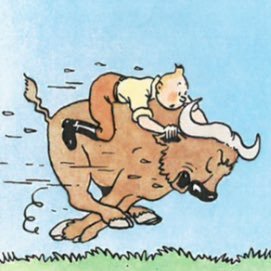 allocatorpleb's profile picture. e&f burner. LAC survivor.