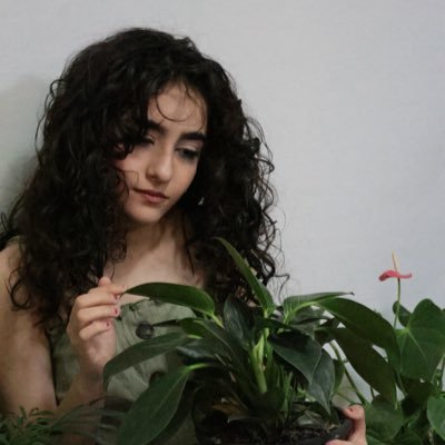 mohd_dese's profile picture. 