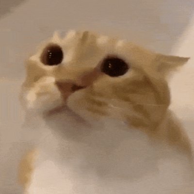 cryptur's profile picture. https://t.co/m65ya71iNH