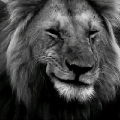 Abdu___25's profile picture. 