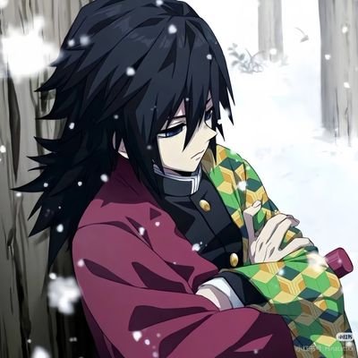 petti24548's profile picture. 