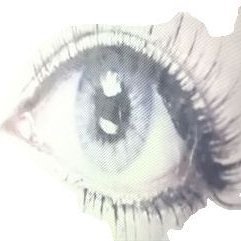 mewisleepy's profile picture. 