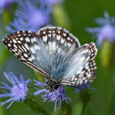 AnneliseMeili's profile picture. 🇺🇸 Asian American | MAGA
🌸 God may seem silent
🌷 but He’s actually setting up bigger blessings for you