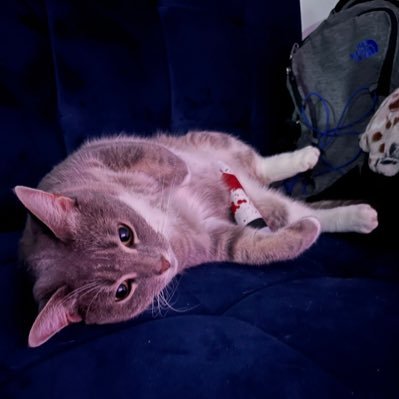 hatzigsut's profile picture. a retired strong friend.