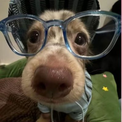 lesinstem's profile picture. lesbian in stem