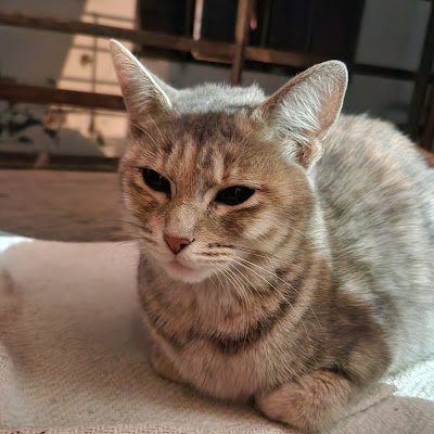 BrendaMel1911's profile picture. 