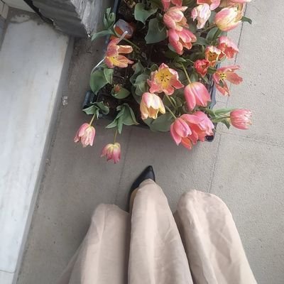 ozipekk_'s profile picture. Okul Öncesi öğretmeni