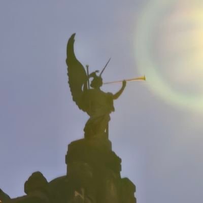 dialektik_plus's profile picture. 