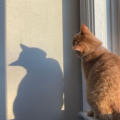 Dipson_kadariya's profile picture. trying to figure myself out and its mendokusai.