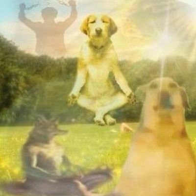 erikzsz's profile picture. 