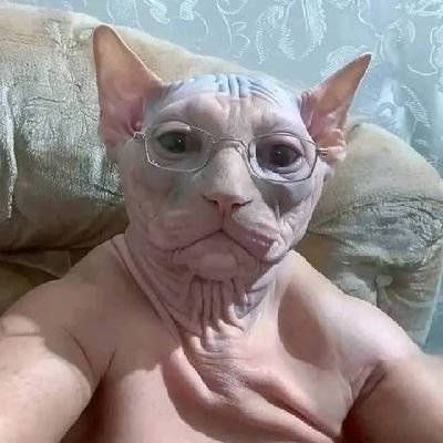 BERL111N's profile picture. Schwachstellenanalyse und Penetrationstests || Deutsch 🇩🇪