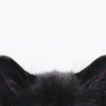 0wubz's profile picture. 🍋 @thereisnoearl