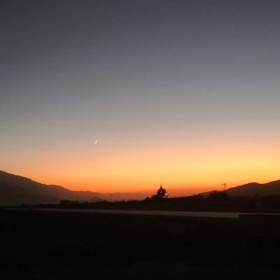 cricjunk's profile picture. sports commentary. part time medicine geek