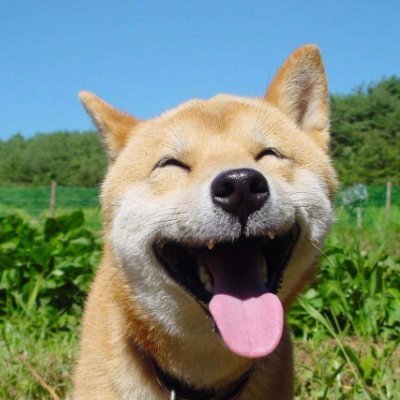 Saeful37543175's profile picture. 