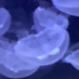 Sui24_22's profile picture. 顔を描かない絵を描く人
アイビスの全身素材をよく使います
にじさんじ/VTuber/シャニマス/学マス/プロセカ