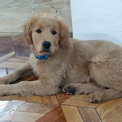 JuanOrtiz212301's profile picture. tengo hambre weón