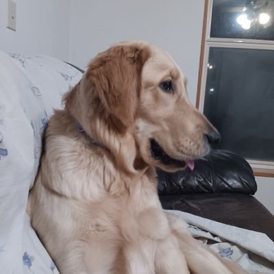 spiritAlice's profile picture. Married to great man For 25years Love kids and animals I also put God first in my life Also have a beautiful 22 year old daughter I am country girl .