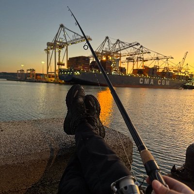 trader_zk1's profile picture. FX Trader | Posting charts. Verified trader.