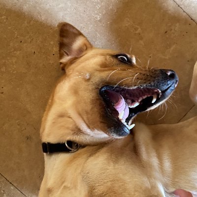 RydzikR74631's profile picture. Rrealtor of reality—dealing in facts, faith (those🙏 s), and a cool😎 detachment from the noise. Enthusiasm for SpaceX🚀 and🚔 Tesla Edge. 🤴US reforms. 🌎Peace