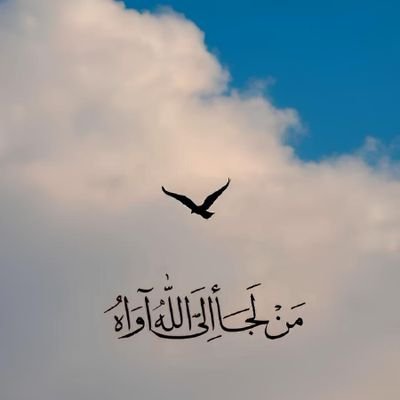 Hussein62519018's profile picture. معلم أول  /و من منا ليس بغارق في ستر الله إلي حد الخجل.