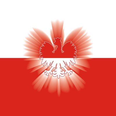 AZGameWarden's profile picture. high mid tier normie // major league defeatist // forced recovery // irl dog // pattern recognizer // 135lbs (good home life + flexible)