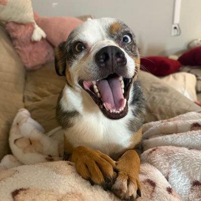 perfectlyfinn89's profile picture. Formerly @perfectlyfine89 :(  UMG give me my account back plz