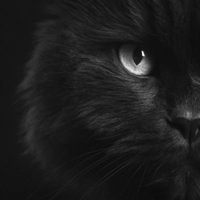 MaryamIsmail95's profile picture. BLAH BLAH BLAH