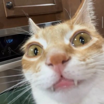 arissk_a's profile picture. love skz