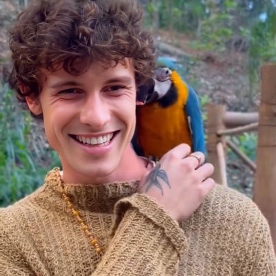 PortalSMBRA's profile picture. 