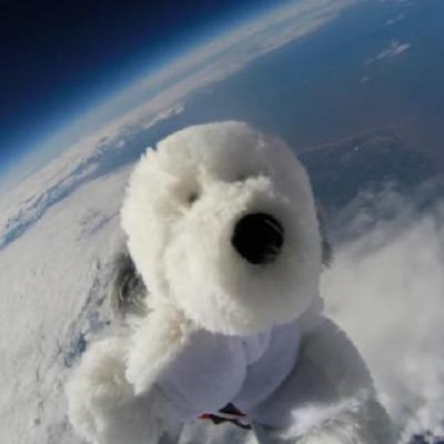 Jiralysm's profile picture. founder + developer https://t.co/mu9I5MHfwR