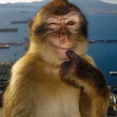 sctilla's profile picture. posting word i can’t tell anyone